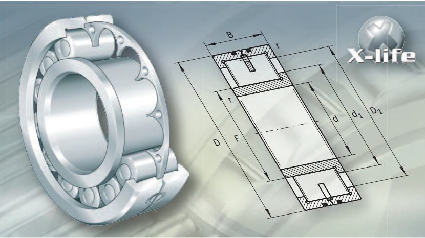FAG帶圓盤式保持架的圓柱滾子軸承